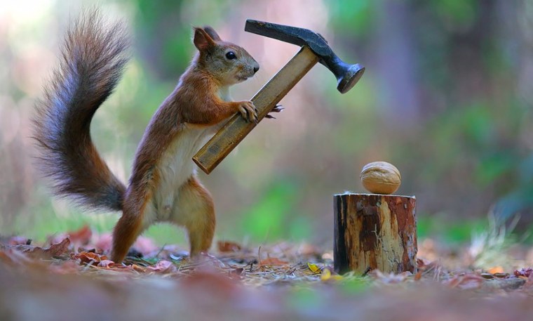 Вадим Трунов