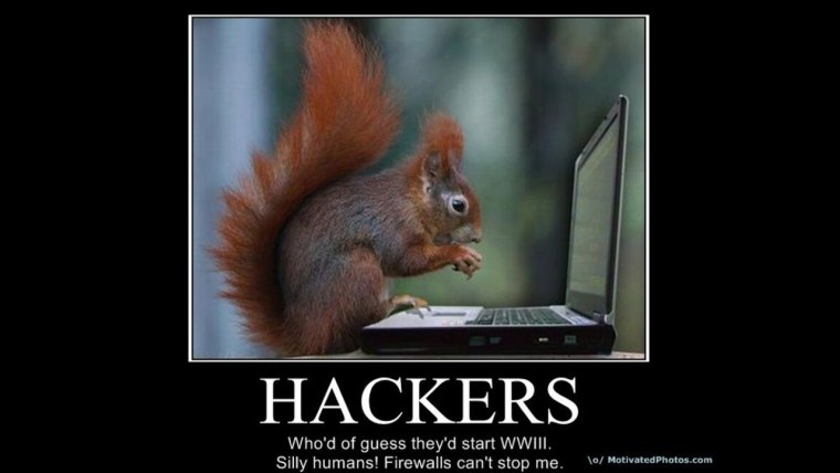 Шутки про белок