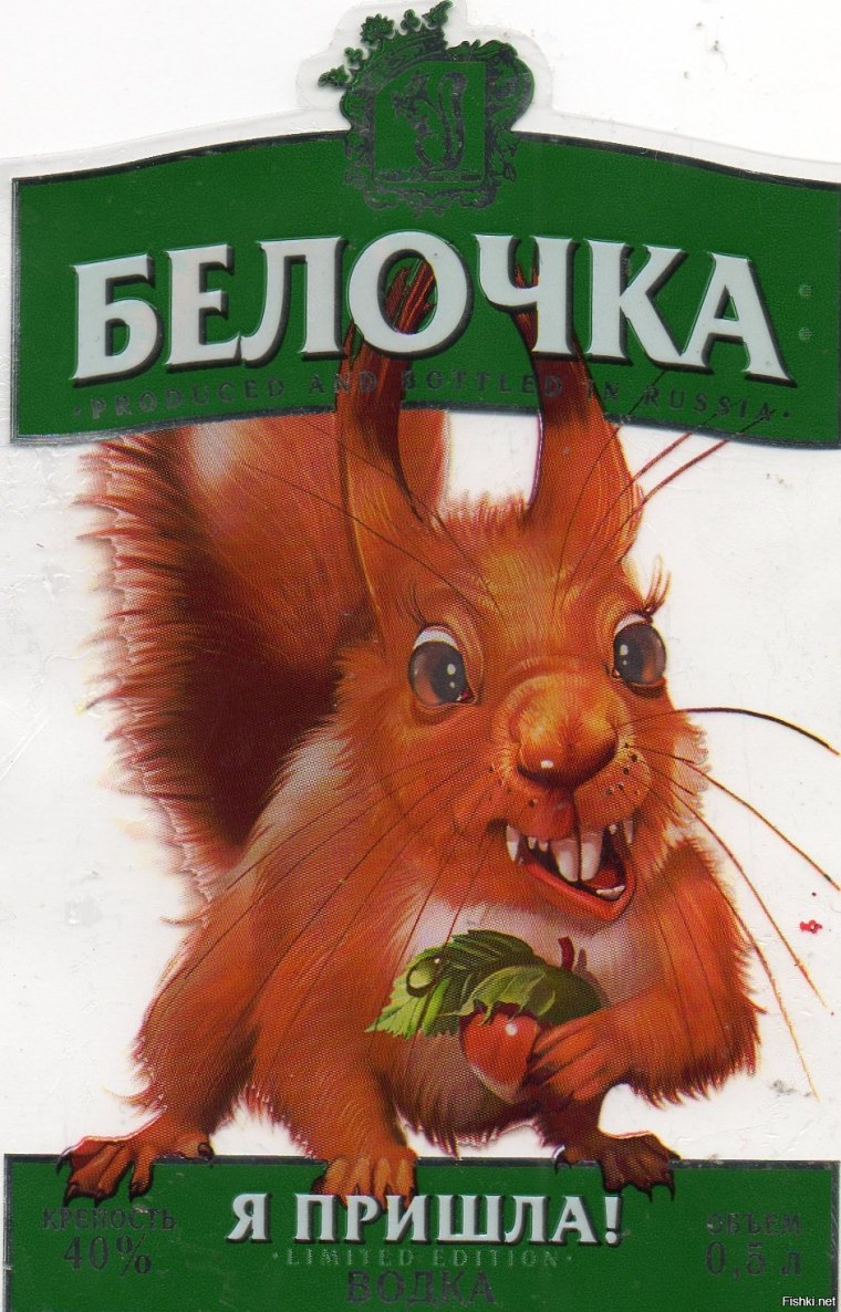 Белочка пришла прикол