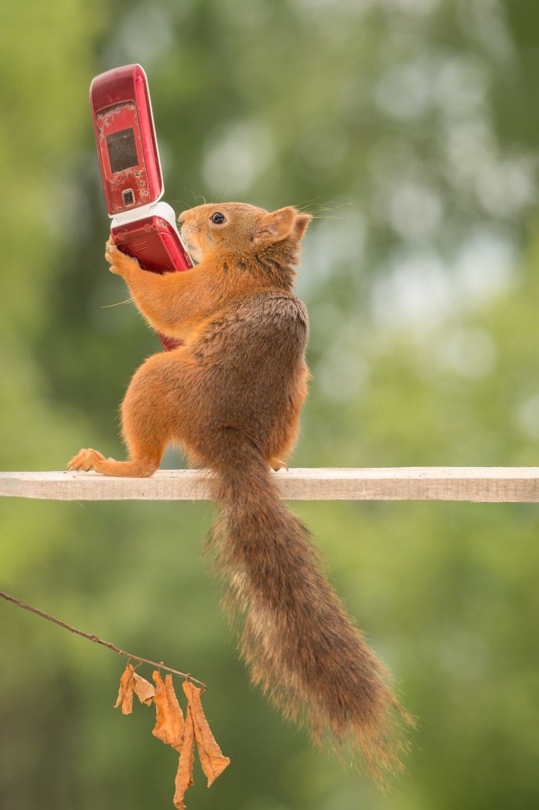 Прикольные белки