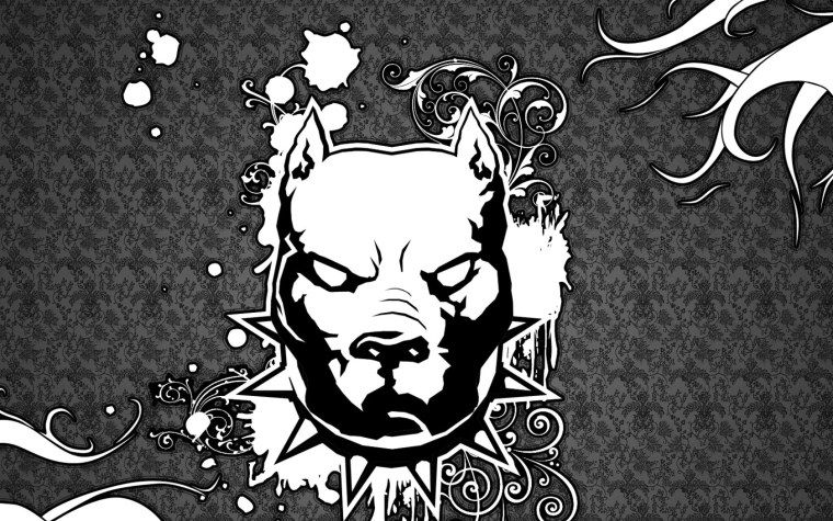 Питбуль аватар