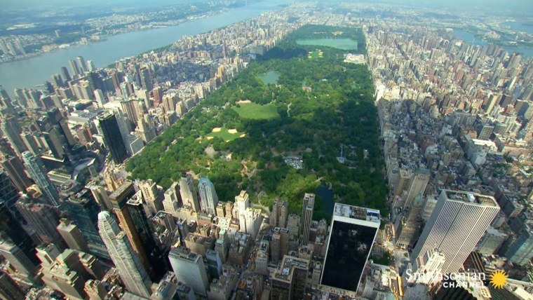 Нью Йорк парк с высоты птичьего полета