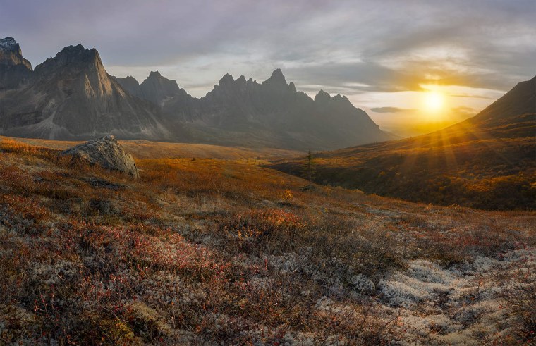 Юкон Канада тундра