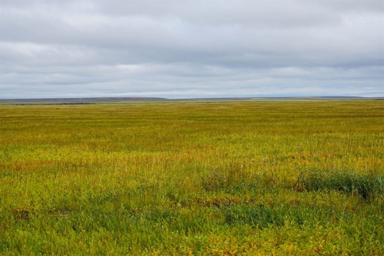 Якутия степь или тундра