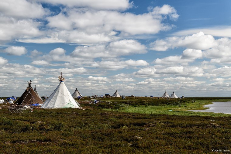 Тундра полуостров Ямал