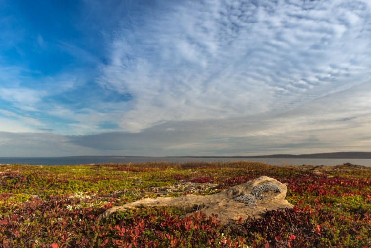 Тундра Кольского полуострова
