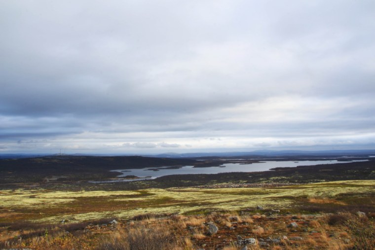 Большеземельская тундра