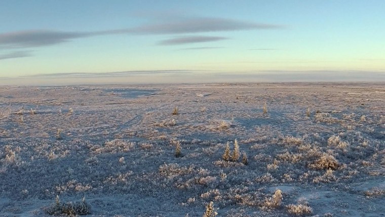 Природная зона тундра зимой