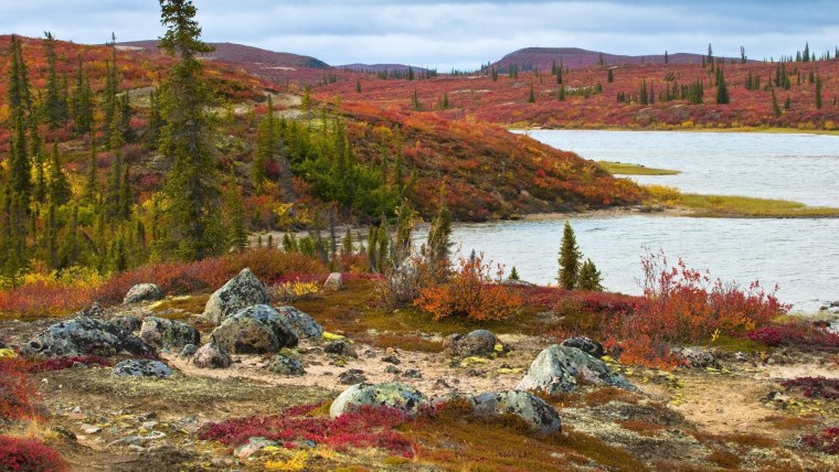 Кольский полуостров осень тундра