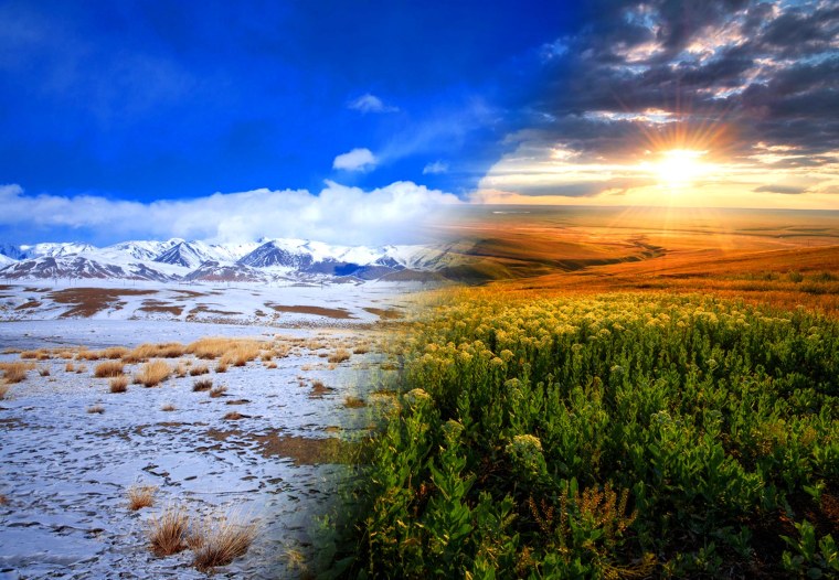 Фотографии природных зон