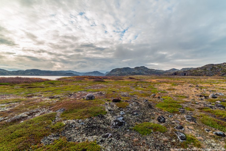 Большеземельская тундра
