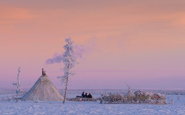 Тундра Ямала