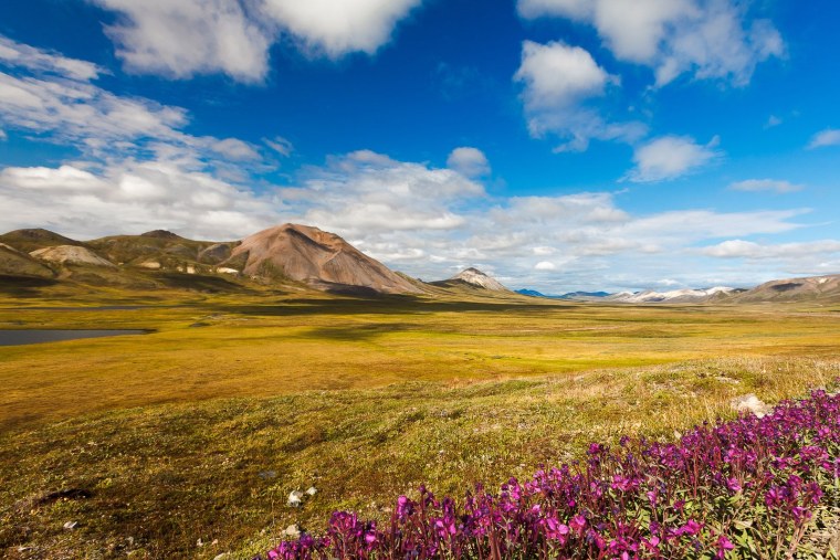 Чукотка тундра