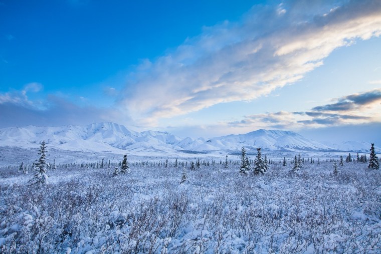 Аляска штат США Арктическая тундра