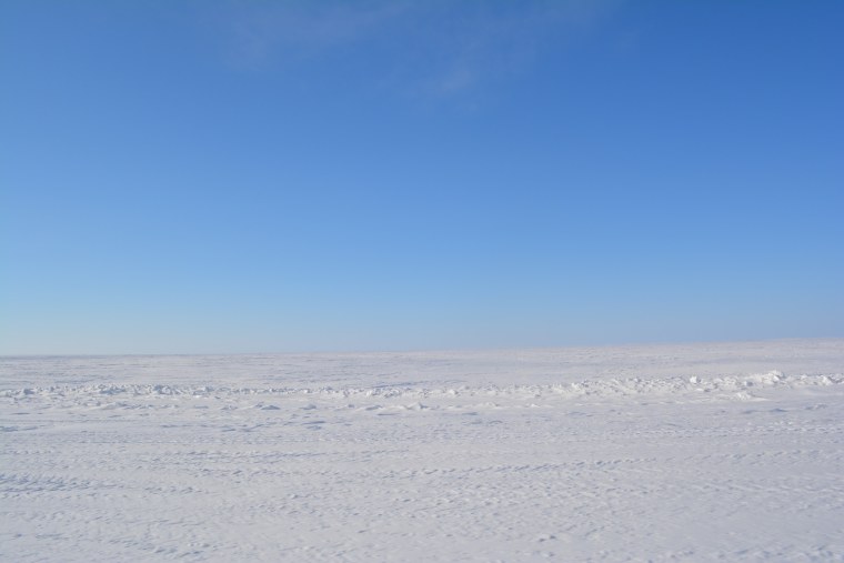 Тундра фон для презентации