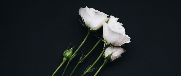 Два цветка на черном фоне