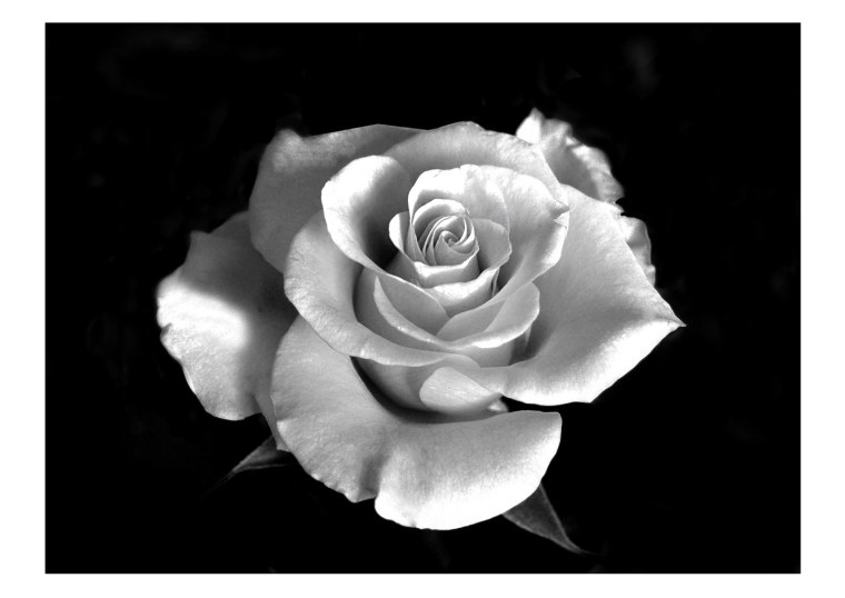 Гроза черная на белом фоне