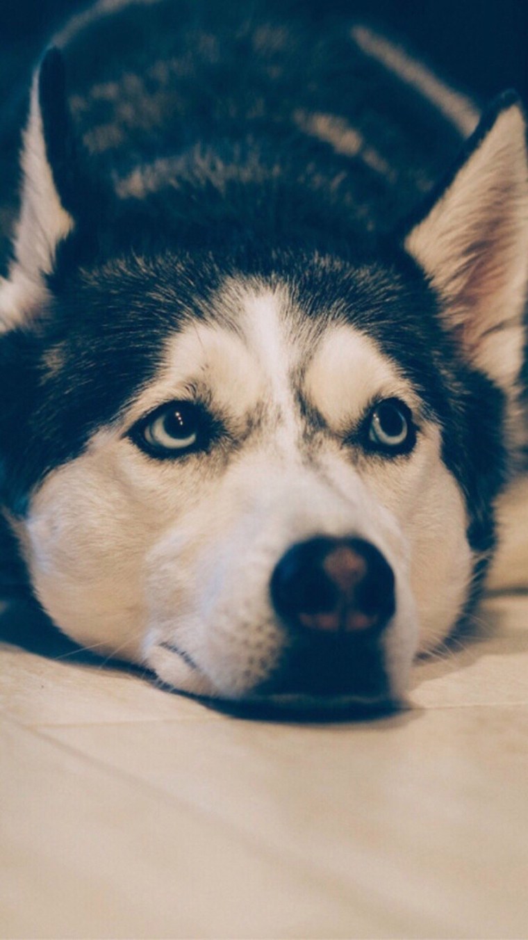 Прикольный фон для чата