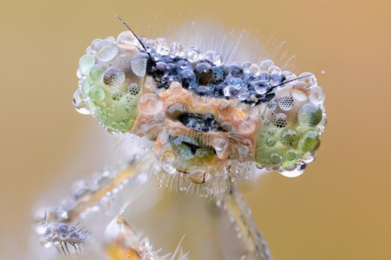 Необычное макро