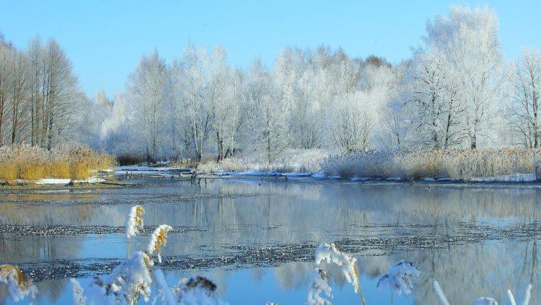 Природа Весна март утро