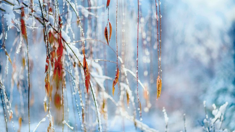 Весенняя капель