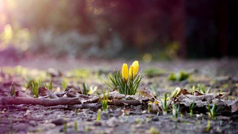 Ранняя Весна