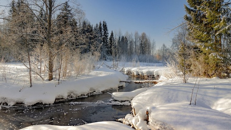 Ранняя Весна март