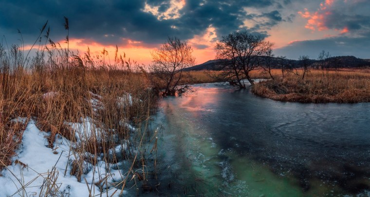 Природа ранней весной