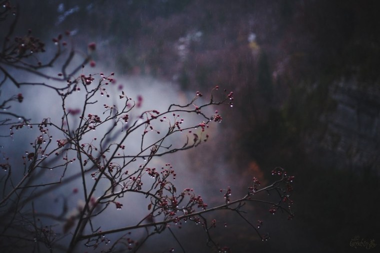 Комната с окном