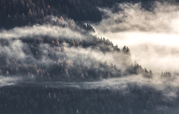 Поздняя осень Эстетика
