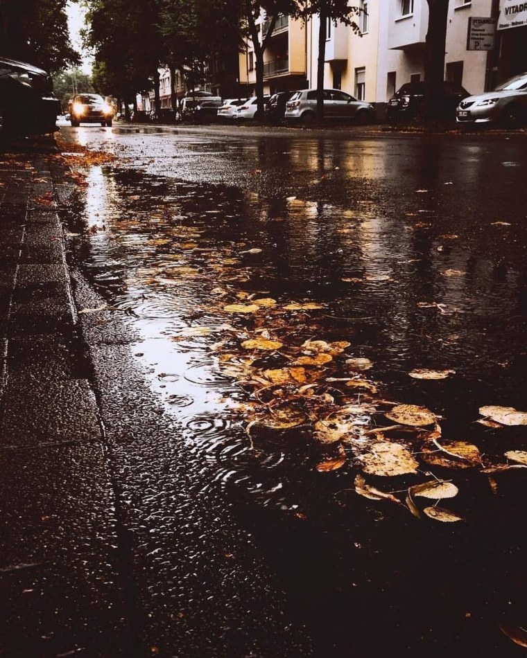 Черный зонт Эстетика