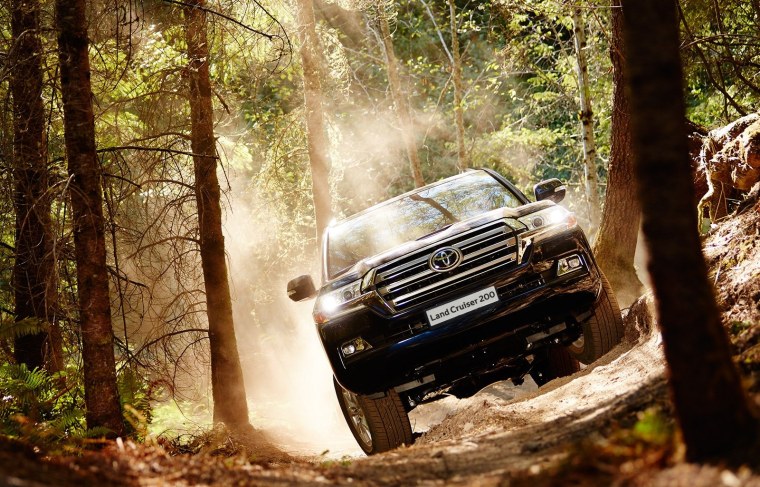 Тойота ленд Крузер 200 в лесу