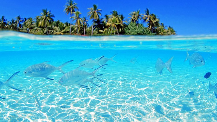 Мальдивы голубая Лагуна