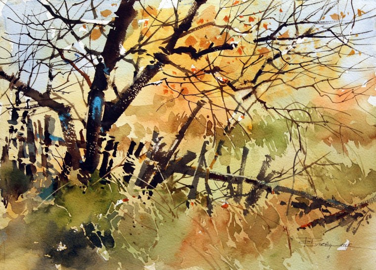 Художник Карл Перселл