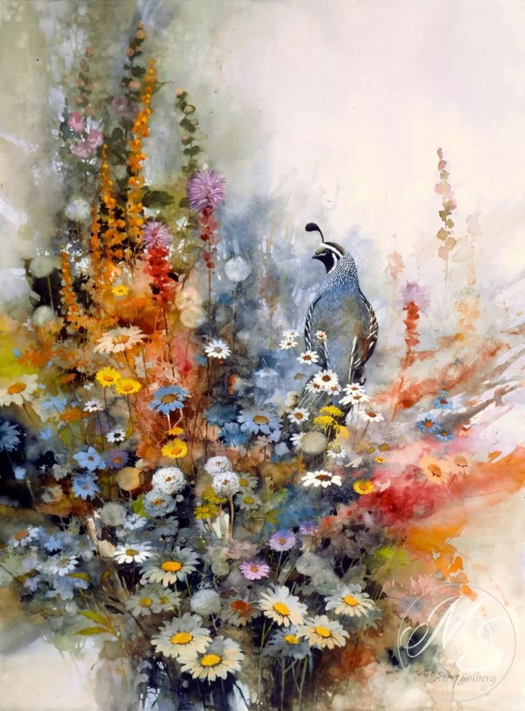 Мортен Солберг птицы акварель