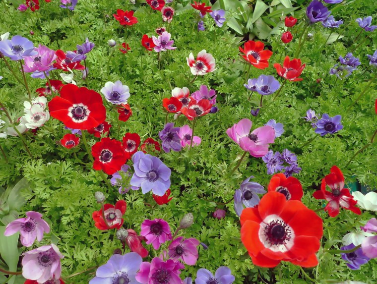 Художник Фаустино Мартин Гонсалес