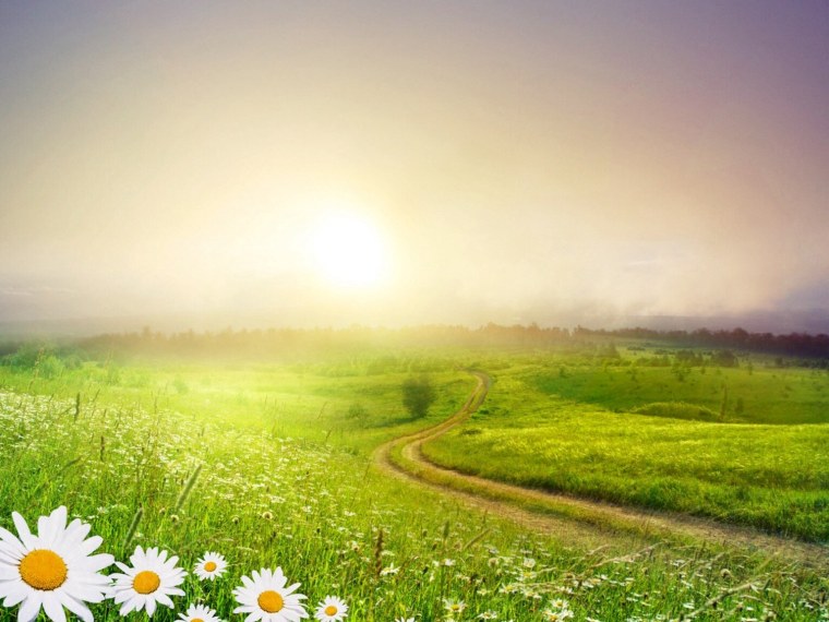 Небо зелень