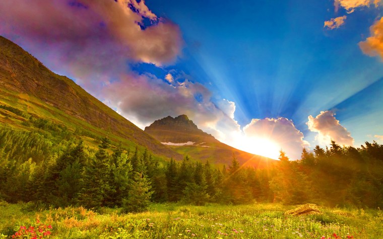 Иллюстрации к рассказу Пришвина золотой луг