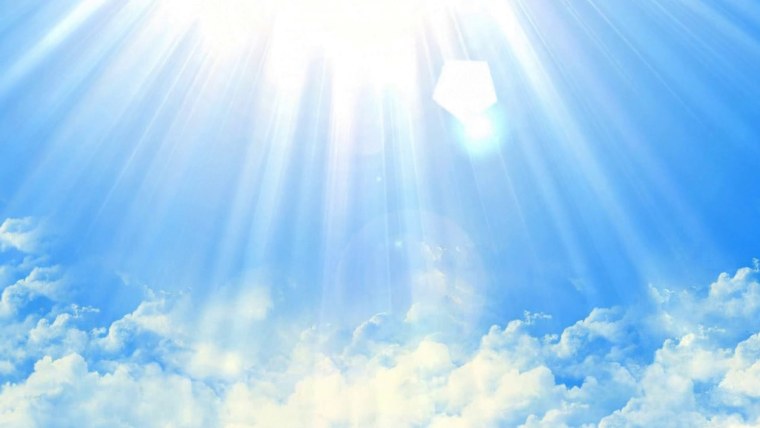 Поле солнце