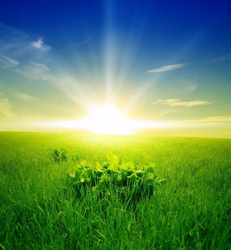 Летний фон Реал