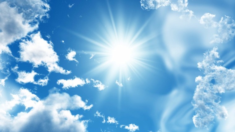 Ромашки и небо