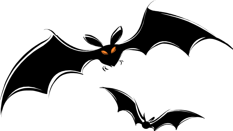 Летучая мышь на белом фоне