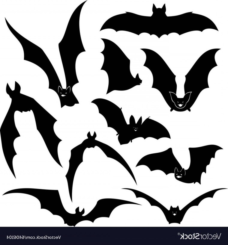 Летучая мышь контур