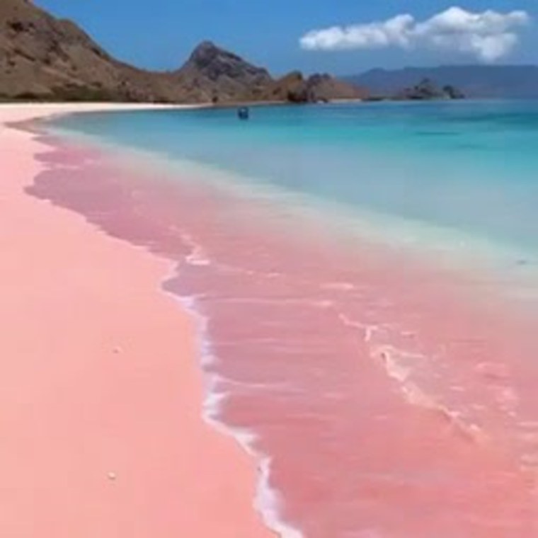 Остров Комодо розовый пляж