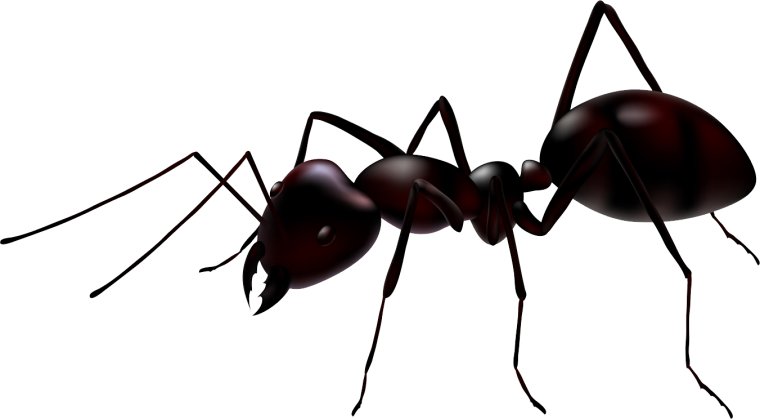 Муравей из сказки