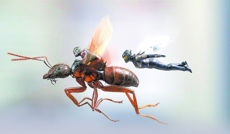 Пять муравьев