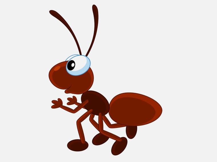 Муравей клипарт