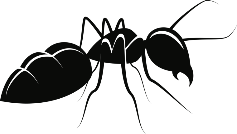 Муравей силуэт
