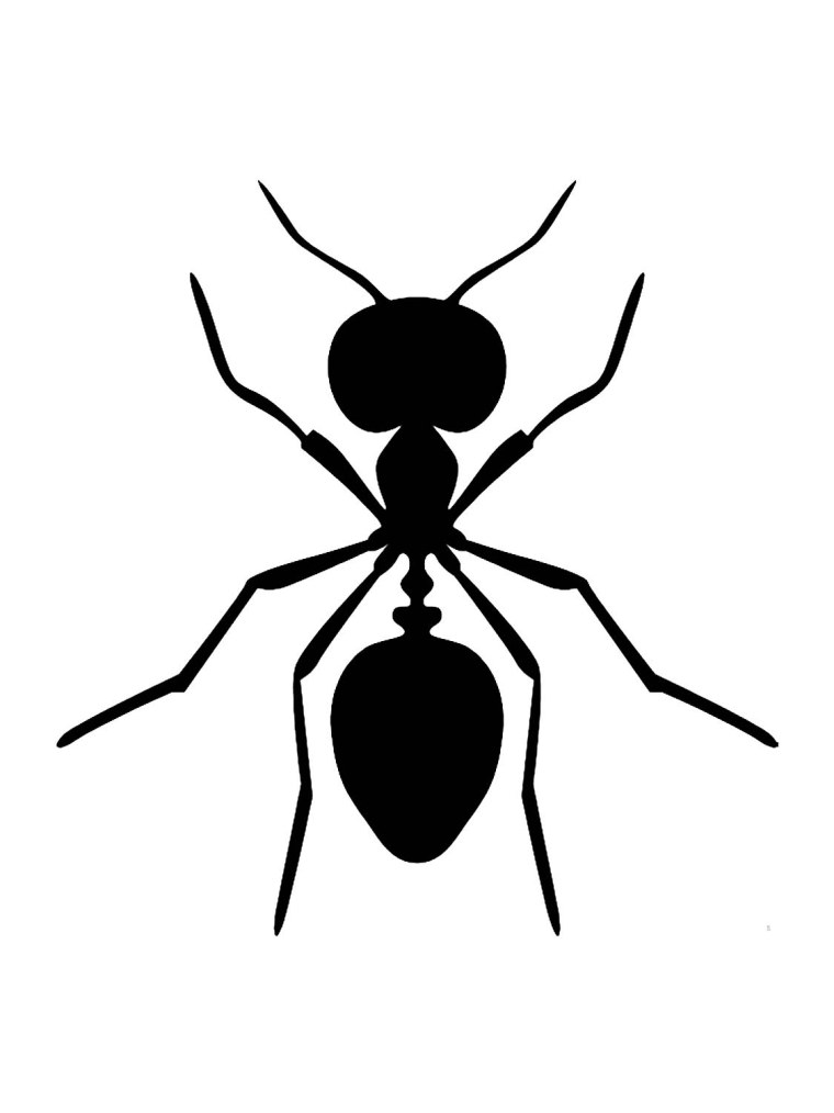 Муравей на листочке