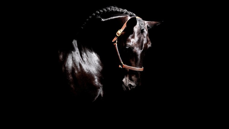 Золотая алебарда elden Ring